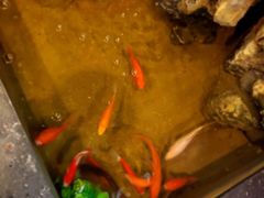 -四季合味椰子鸡(南山大冲店)
