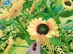 -天津梵高星空艺术馆(天河城旗舰店)