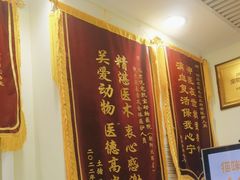 -悦宠凯宝动物医院·牙科·皮肤科(朝阳北路店)