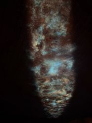 -翱翔飞越地平线