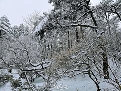 -庐山风景区花径公园