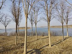 -天津东丽湖风景区