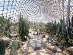 -上海辰山植物园