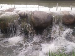 -飞凤山奥体公园