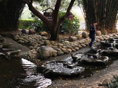 -成都市活水公园