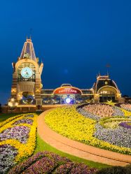 -翱翔飞越地平线