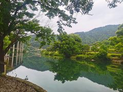 -上坦村