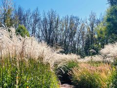 -野鸭湖国家湿地公园