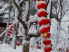 -沂蒙云瀑洞天景区