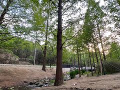 -白水寺森林公园
