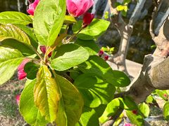 -元大都城垣遗址公园