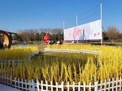 -西山漾湿地公园