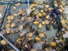 -海天盛宴潮汕蒸汽海鲜高端自助形象店