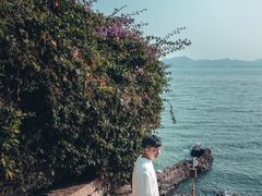 -鼓浪屿钢琴博物馆