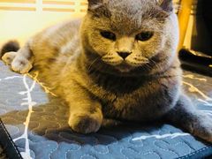 -平行世界·猫咖(首经贸店)