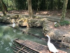 -兰亭风景区