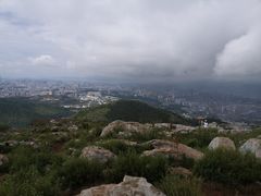-长虫山生态公园风景林