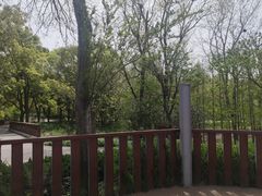 -上海滨江森林公园