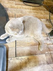 -青木造型HAIR·あおき髪を刈る潮人店