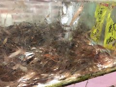 -水上人家河鲜