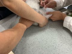 -萌兽医馆·绝育·24小时内科·宠物医院(德胜店)