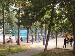 -回龙观体育文化公园