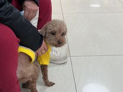 -美联众合动物医院·24h京西诊疗中心