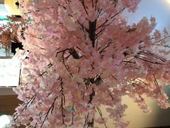 -武汉光谷K11