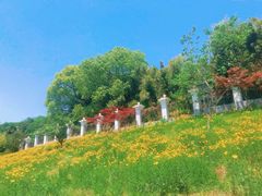 -南京市江宁方山