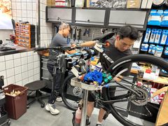 -TREK崔克自行车(碧云店)