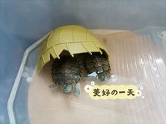 -灵龟之家百象馆(百象馆联合旗舰店)