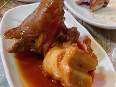 -东鸽皇(奥园·中环广场店)