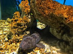 -绍兴梦享海洋公园