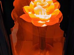 -三亚南山文化旅游区