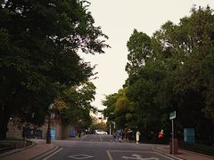 -八大关景区