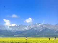 -扁都口生态休闲旅游区