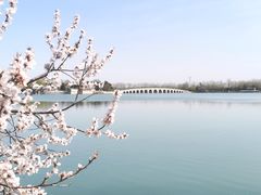 -颐和园