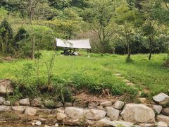 -北仑森林植物园