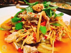 -鸡毛店·川菜(双楠店)