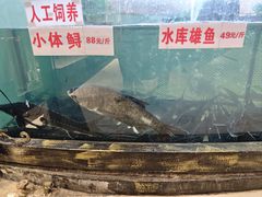 -楚鱼王·河鲜·湖北菜(华农店)