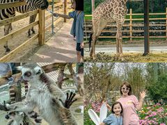 -水上乐园·欢乐世界