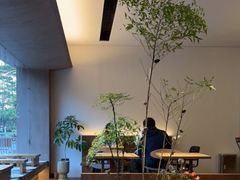 -溯洄咖啡VORTEX COFFEE