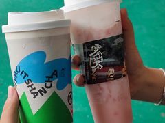 -雾与山茶(大禹城店)
