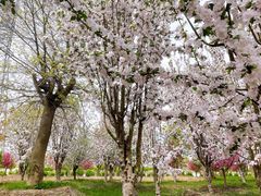 -甜心庄园·甜心草莓采摘园(西青中北店)