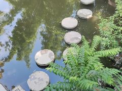 -攀枝花公园