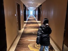 -廊坊固安福朋喜来登酒店