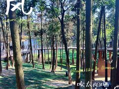 -南京银杏湖乐园