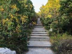 -千佛山风景名胜区