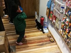 -猫的天空之城概念书店(杭州南宋御街店)