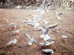 -老味道民宿(栈桥店)